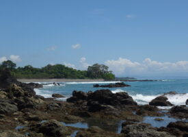 Puerto Jimenez