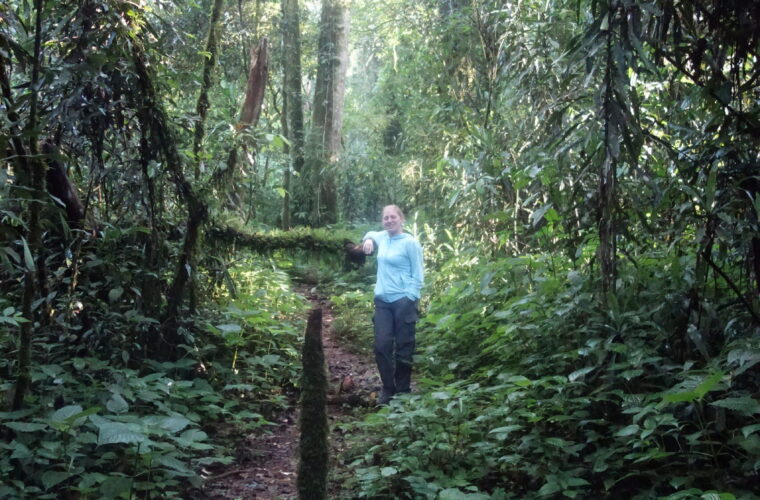 Kakamega Rainforest