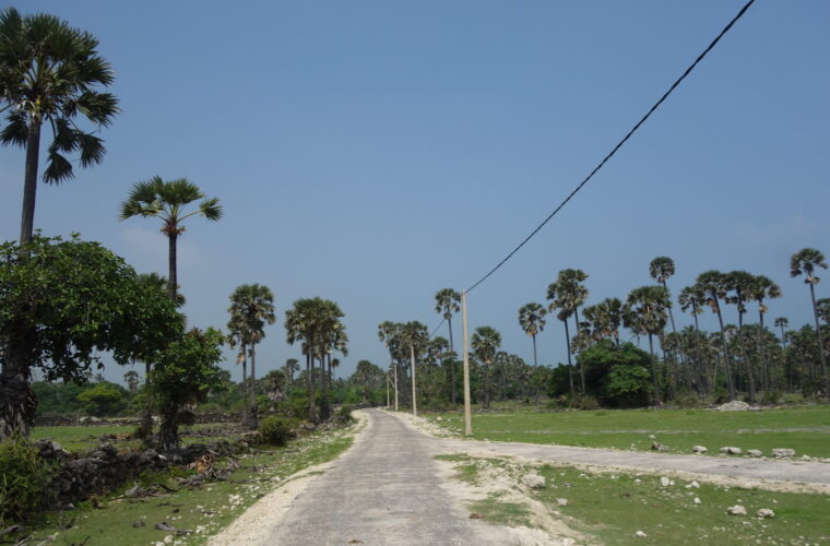 Jaffna