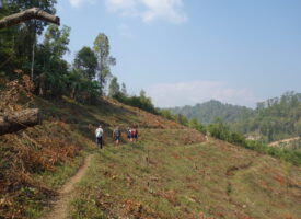Chiang Mai hike